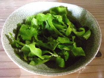 lettuce6.jpg